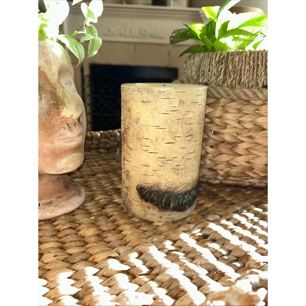 New (2) Pottery Barn Birch Candle 4x6
